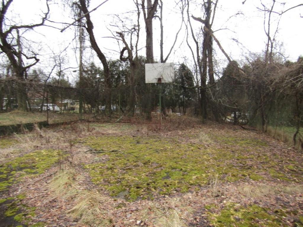 232 Crestview Road Pittsburgh, PA 15235 - Photo 26 of 30 a backyard of a house with lots of green space