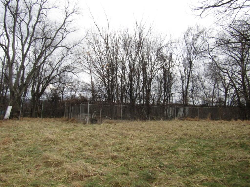 232 Crestview Road Pittsburgh, PA 15235 - Photo 28 of 30 a backyard of a house with lots of green space and fountain