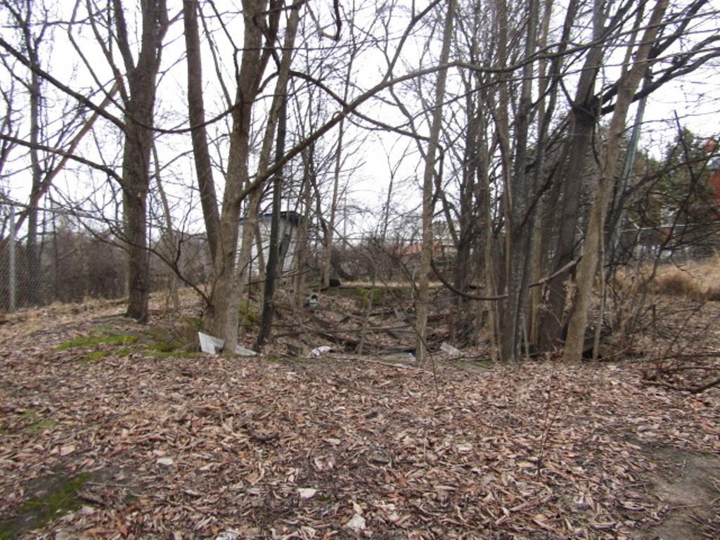 232 Crestview Road Pittsburgh, PA 15235 - Photo 7 of 30 a view of a forest filled with trees