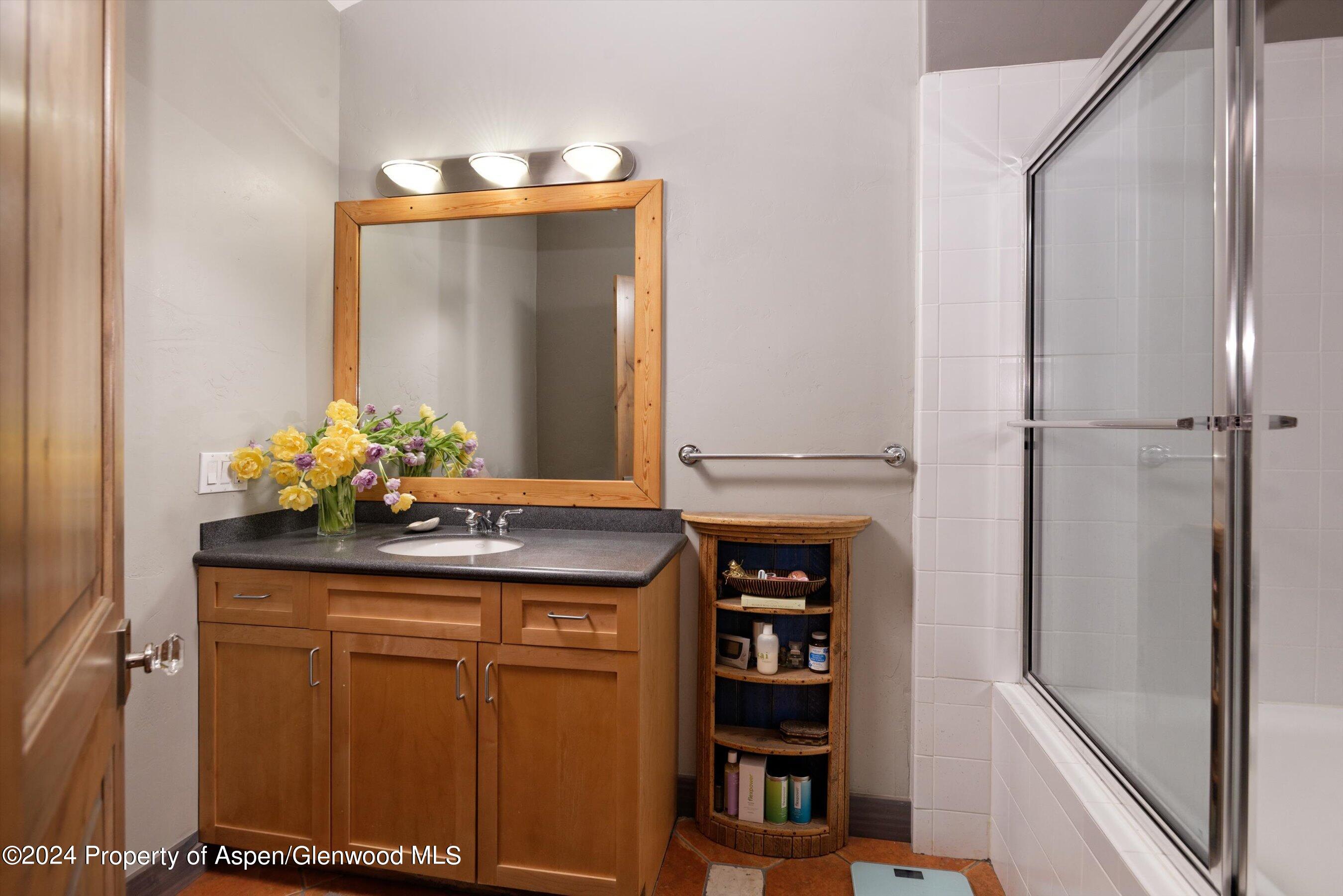 134 Ridge Road Basalt, CO 81621 - Photo 20 of 28 15-134Ridge_HiRes220615029