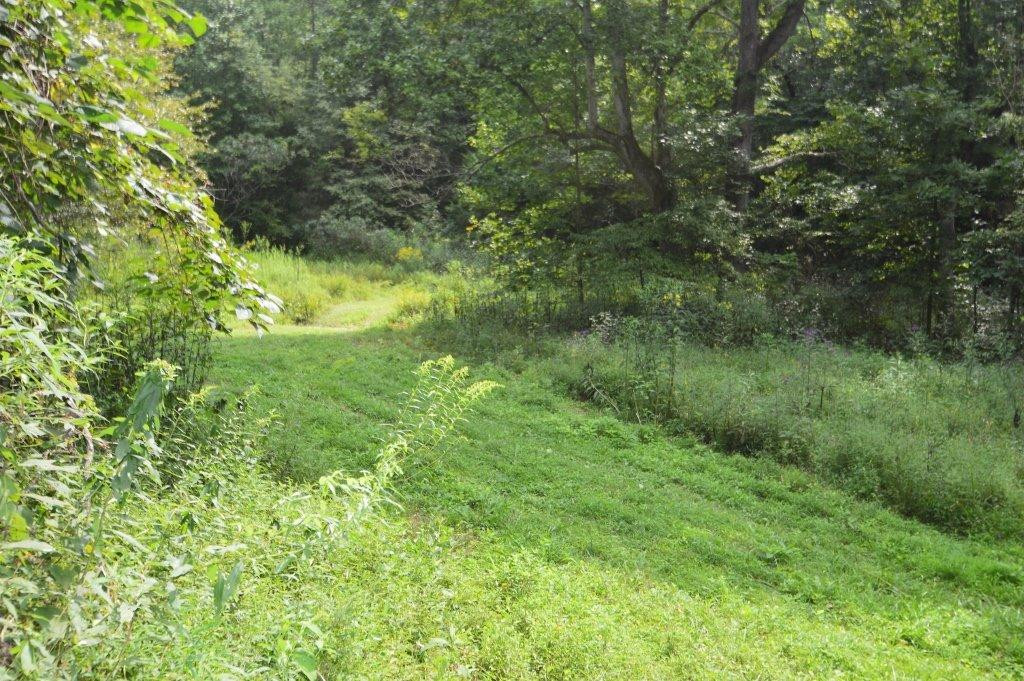 3561 Trapp-Goffs Cor Road Winchester, KY 40391 - Photo 37 of 47 Photo 37