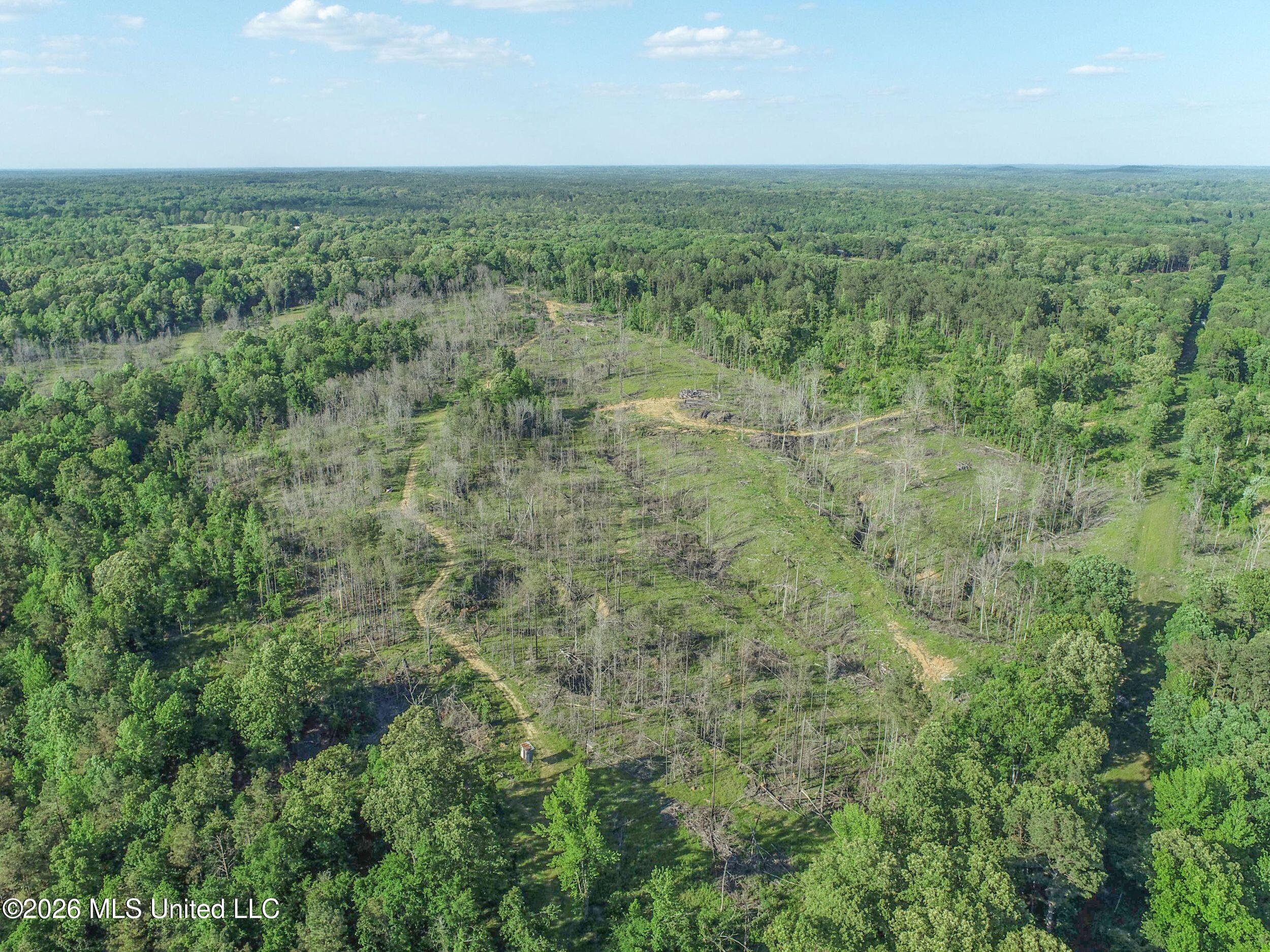 Wayne Massie Road Como, MS 38619 - Photo 40 of 184 3ctwmrd25