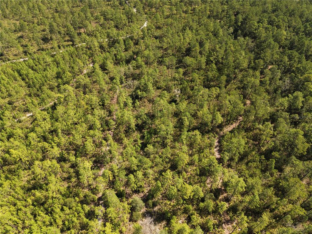375 Buck Springs Road Palatka, FL 32177 - Photo 29 of 78 Gallery Image 29