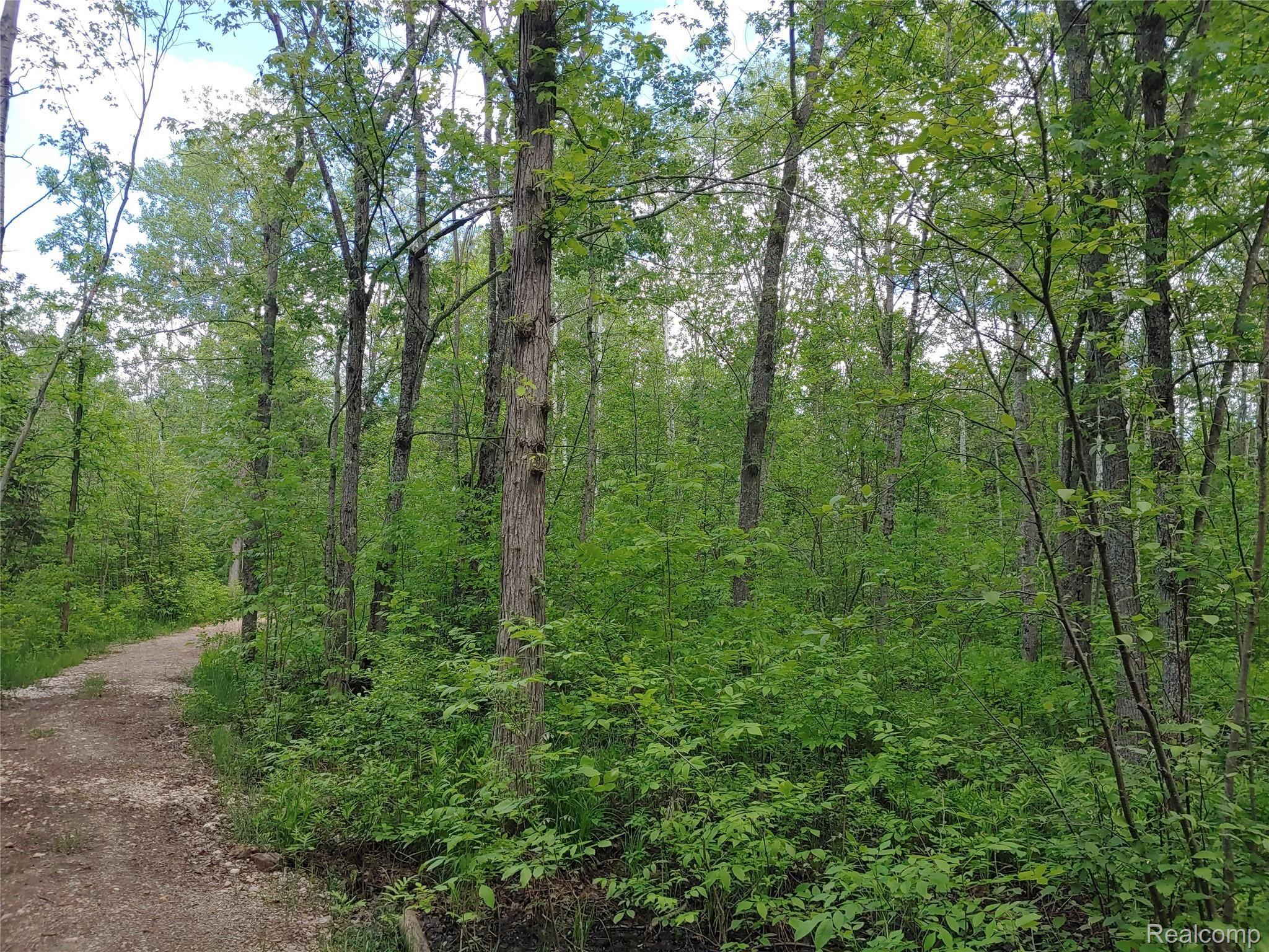 5960 Werth Road Alpena, MI 49707 - Photo 16 of 41 11a.jpg