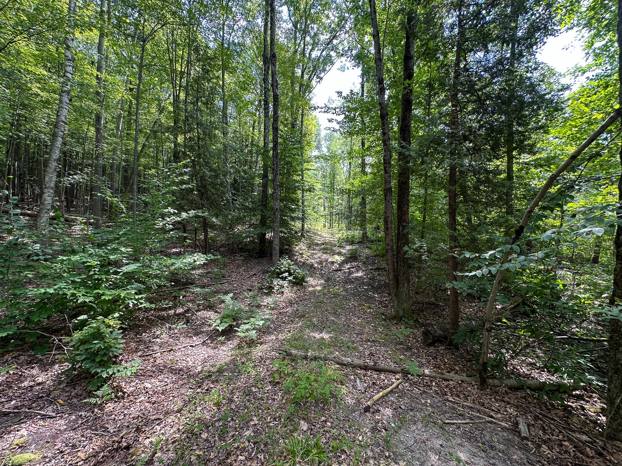 40 80th Avenue Rodney, MI 49342 - Photo 25 of 41 East Trail