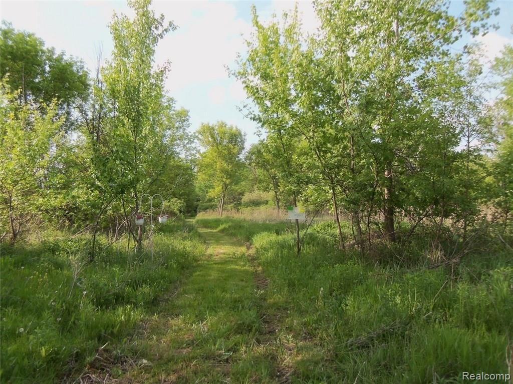 100_6888.jpg