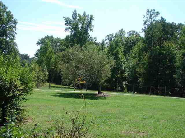 340 Flat Shoals Road Salem, SC 29676 - Photo 5 of 14 Gallery Image 5