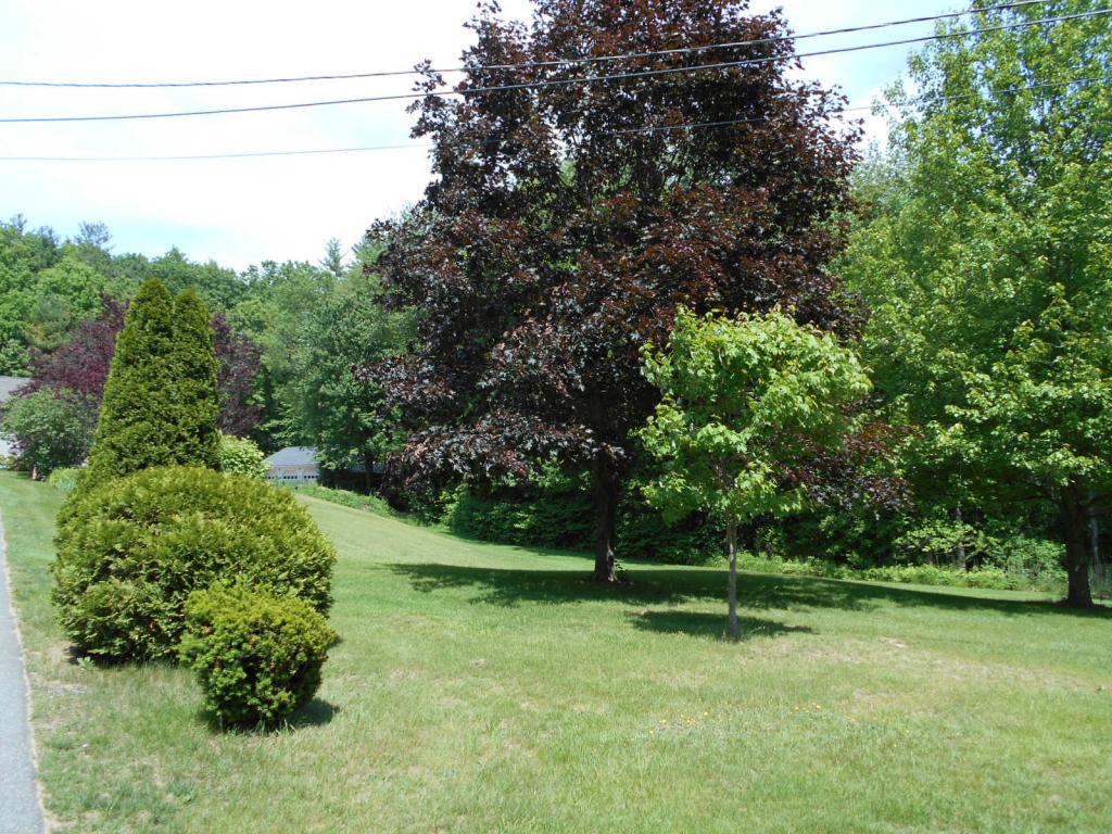 23 Hunt Road Kingston, NH 03848 - Photo 3 of 28 Gallery Image 3