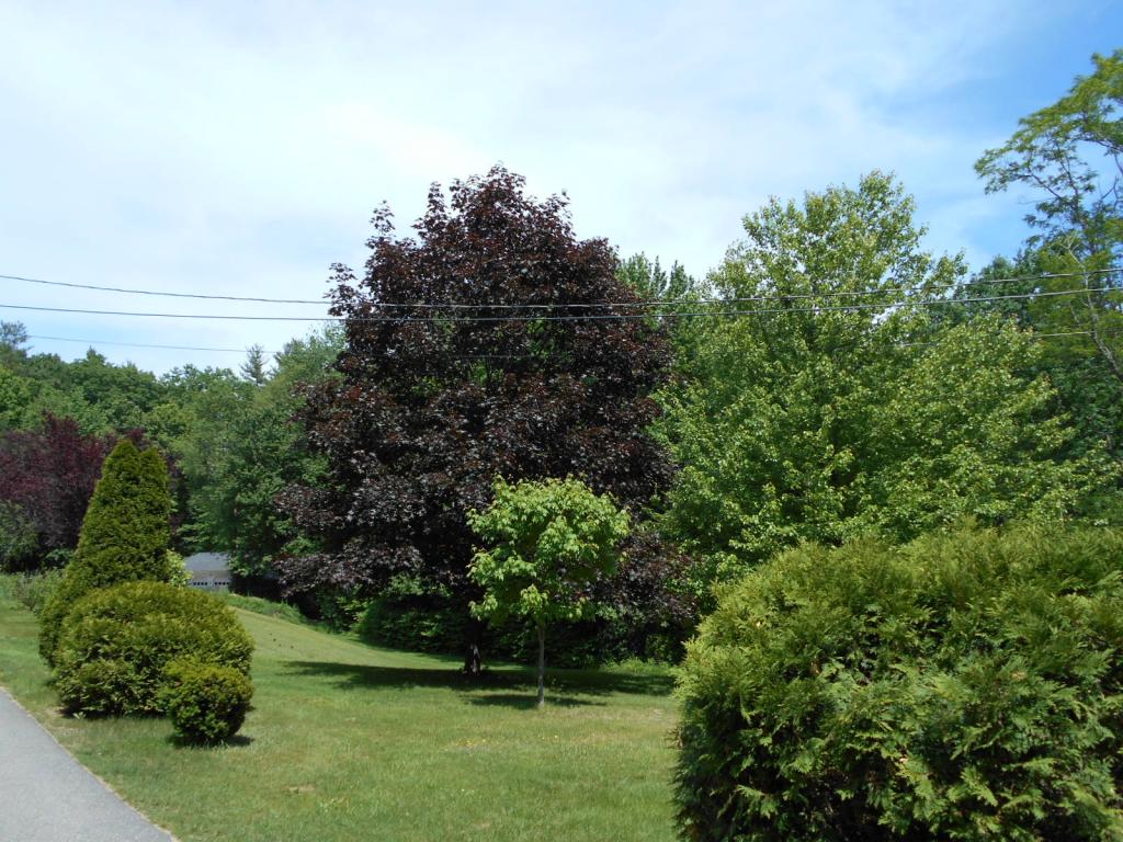 23 Hunt Road Kingston, NH 03848 - Photo 4 of 28 Gallery Image 4