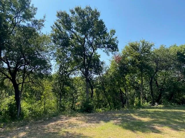 a view of a swimming pool with a yard