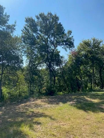 a view of a swimming pool with a yard