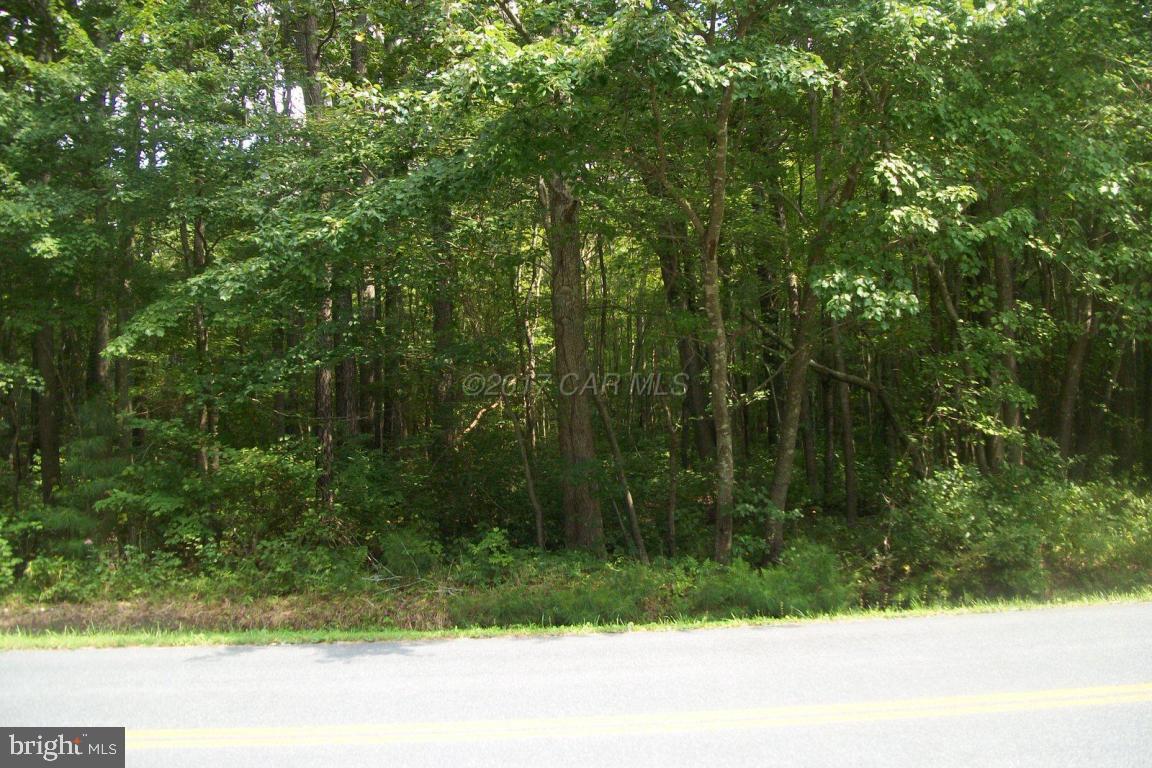 9403 Seahawk Road Berlin, MD 21811 - Photo 7 of 7 Gallery Image 7
