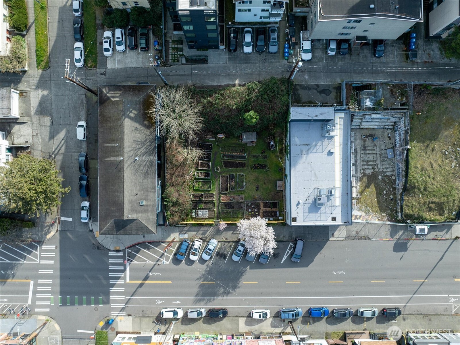 5520 University Way Northeast Seattle, WA 98105 - Photo 11 of 17
