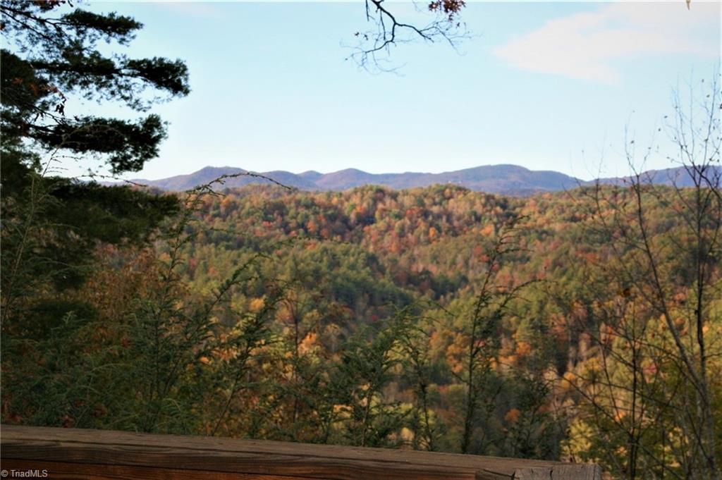 1123 Wagon Ridge Road Ferguson, NC 28624 - Photo 4 of 11