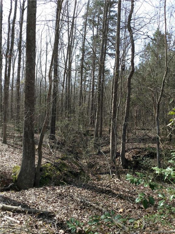 0 South Post Road Shelby, NC 28152 - Photo 8 of 13 a view of a forest filled with trees