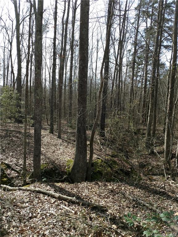 0 South Post Road Shelby, NC 28152 - Photo 10 of 13 a view of a park with large trees