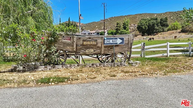 a view of a park with large trees