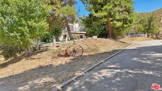 a view of a park with large trees