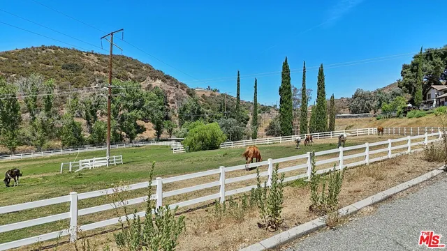 a view of a back yard of the house