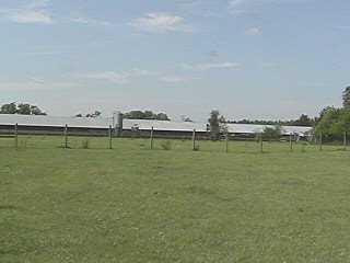 Stable/Barn