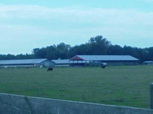 Stable/Barn