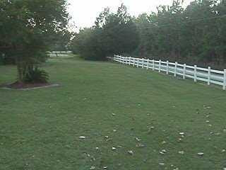 Yard/Garden