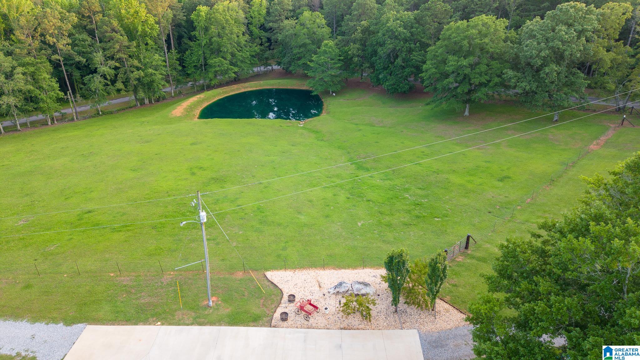 271 Little Pond Road Pell City, AL 35128 - Photo 68 of 86