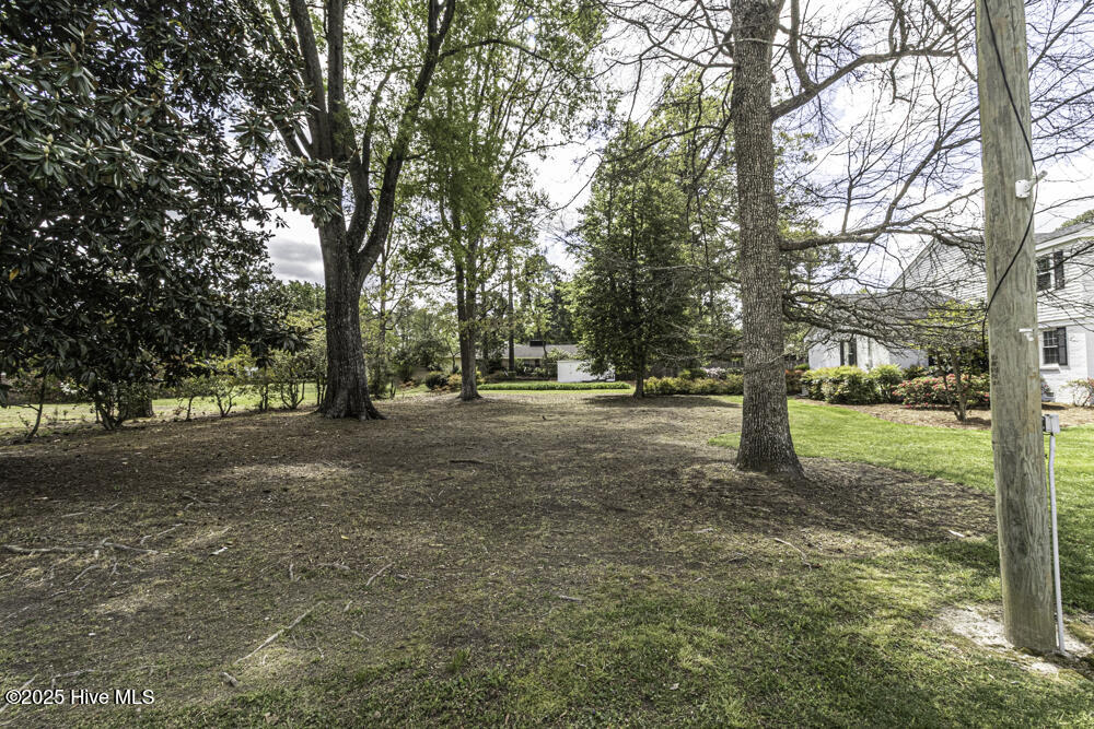 3609 Hawthorne Road Rocky Mount, NC 27804 - Photo 38 of 42 Additional spacious side yard on this .68 acre lot!