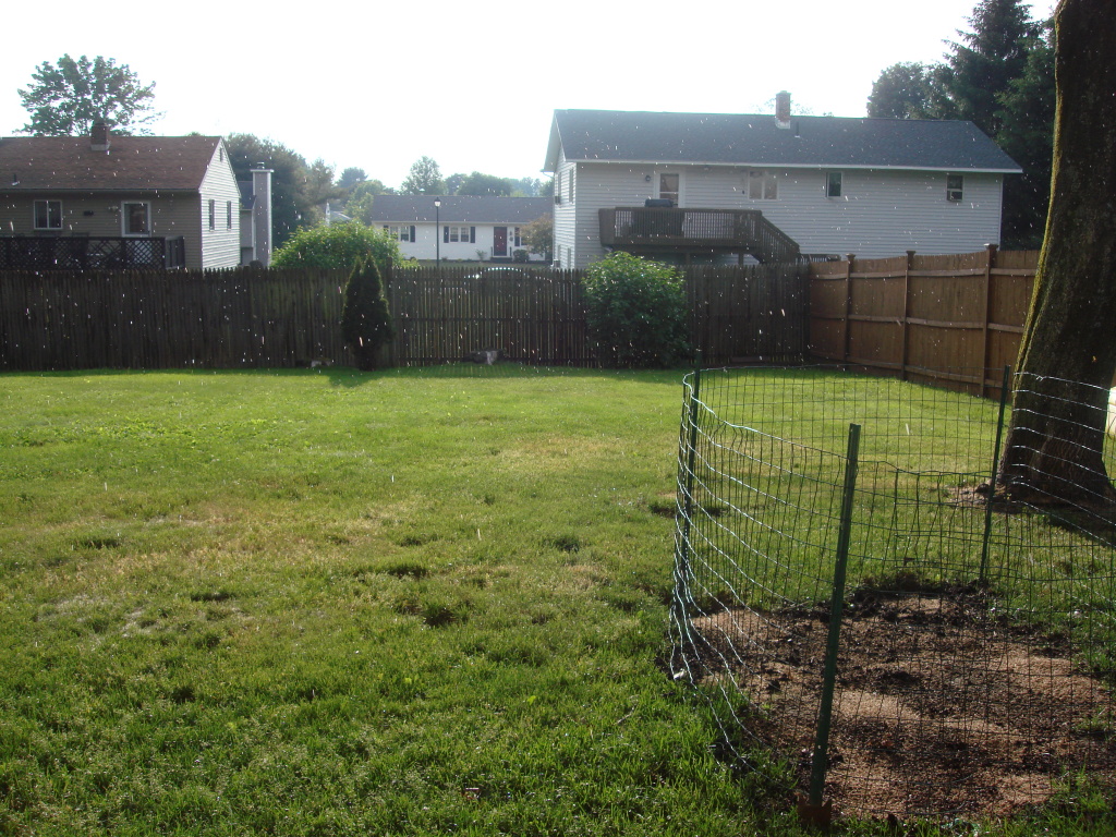 216 Dalton Division Road Pittsfield, MA 01201 - Photo 24 of 25 Yard