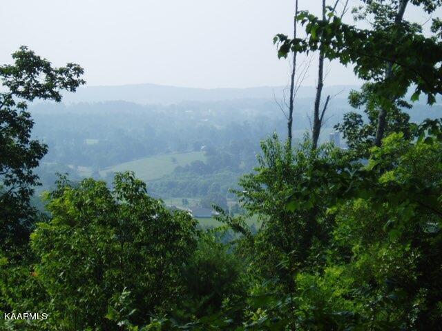 0 Acorn Gap Road Sweetwater, TN 37874 - Photo 1 of 21 IMG_20220418_173703
