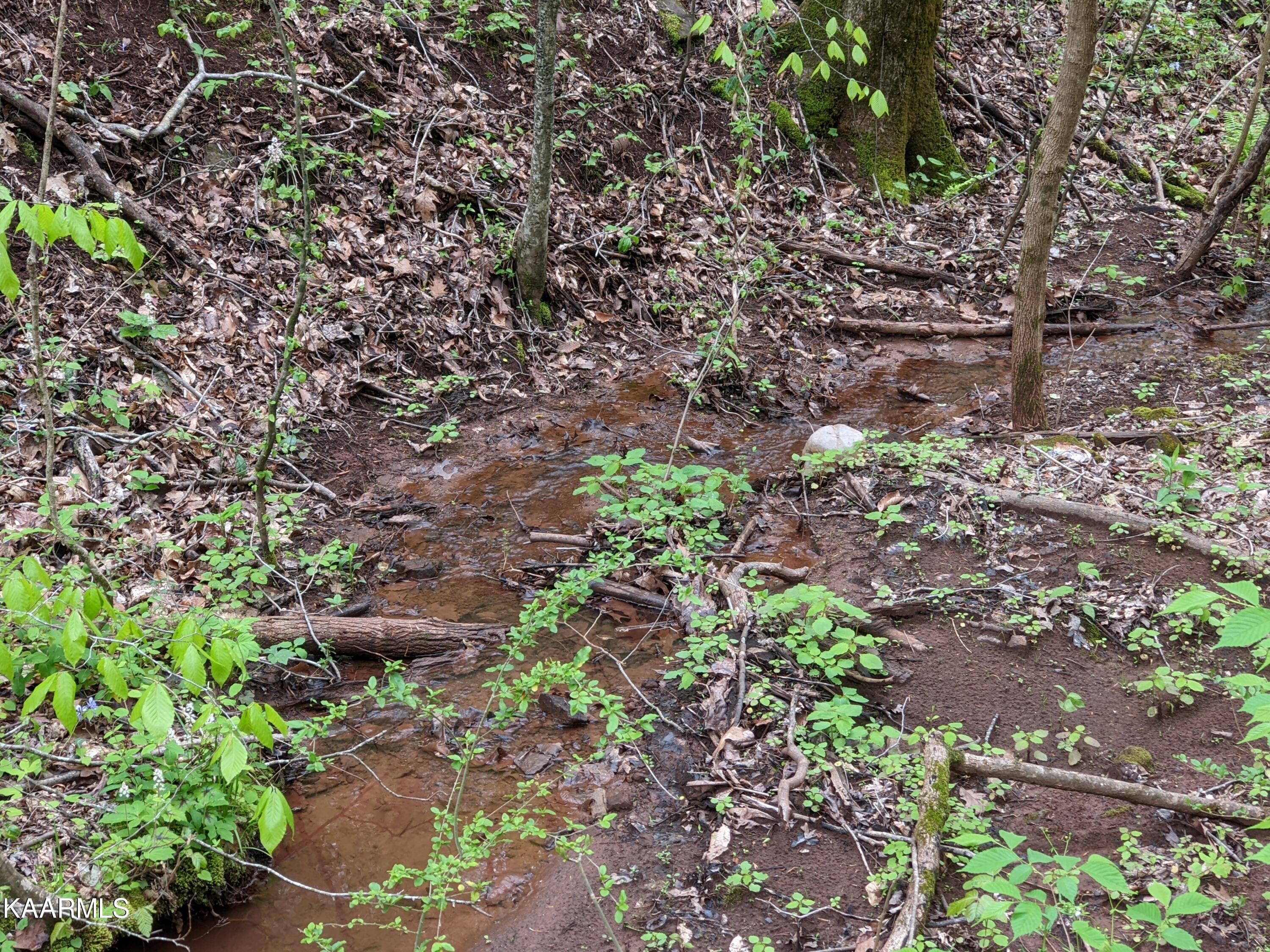 0 Acorn Gap Road Sweetwater, TN 37874 - Photo 15 of 21 PXL_20220418_203746022