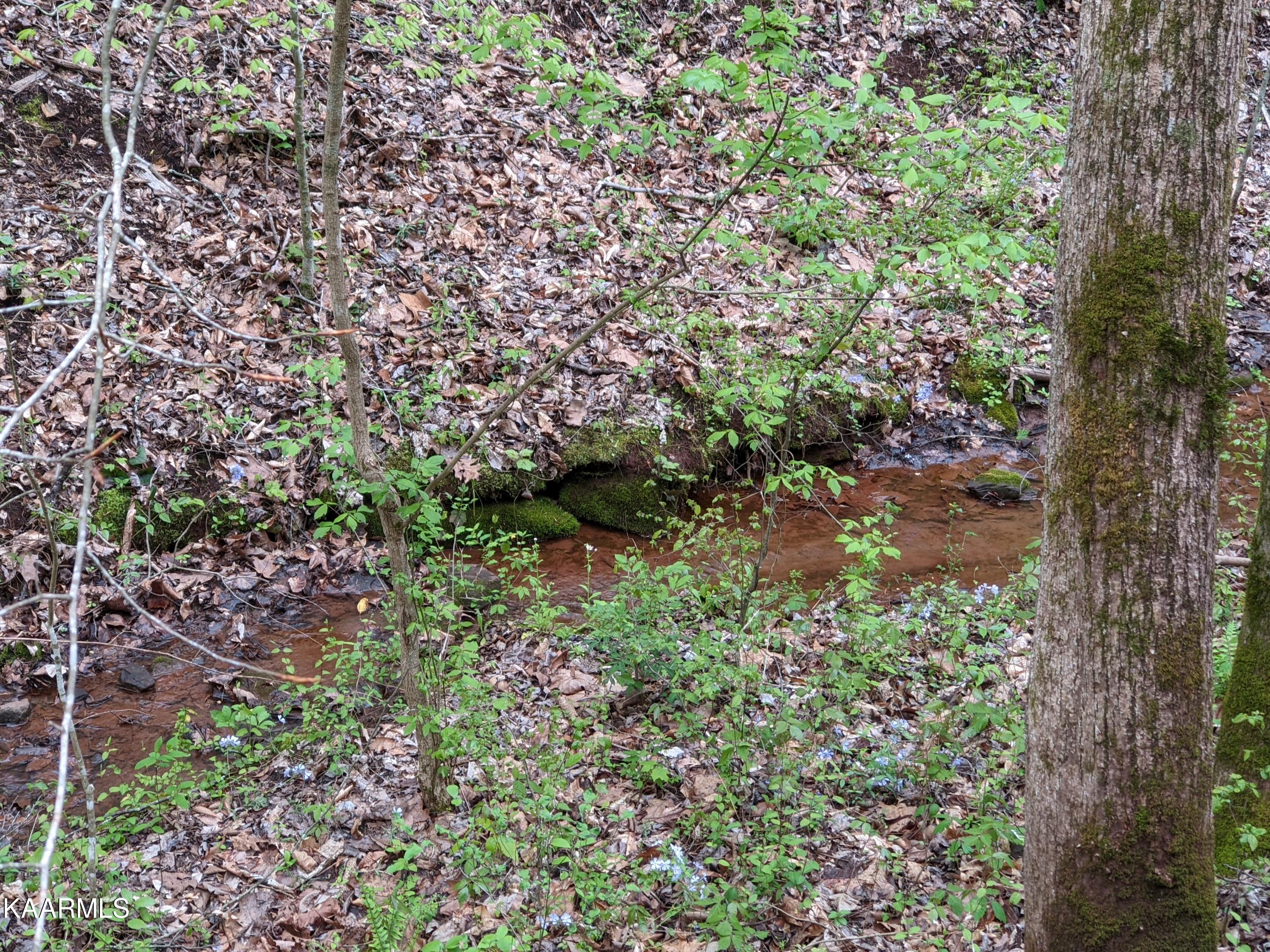 0 Acorn Gap Road Sweetwater, TN 37874 - Photo 17 of 21 PXL_20220418_203917315