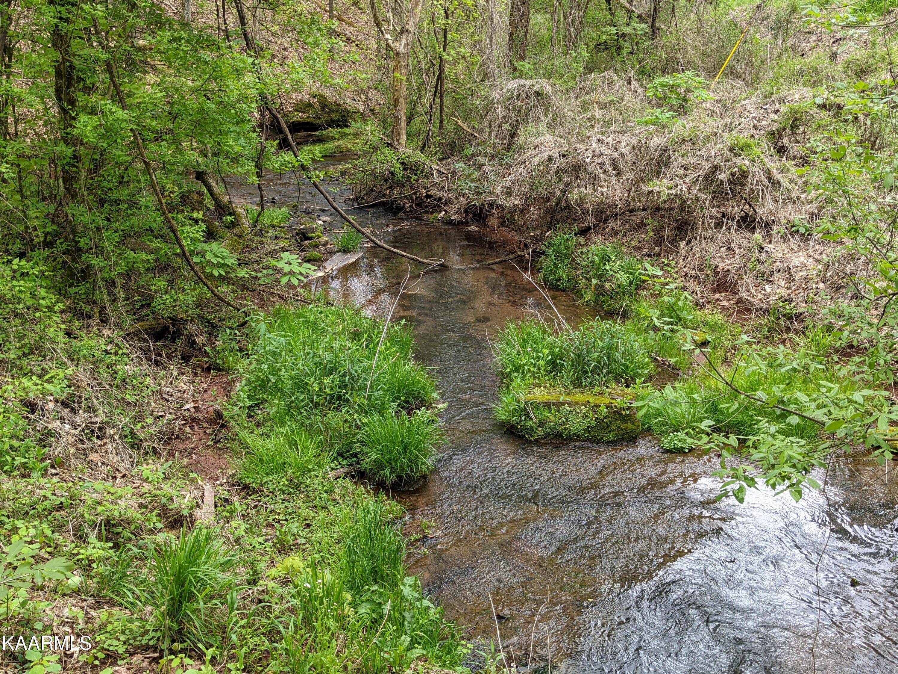 0 Acorn Gap Road Sweetwater, TN 37874 - Photo 20 of 21 PXL_20220418_204240943