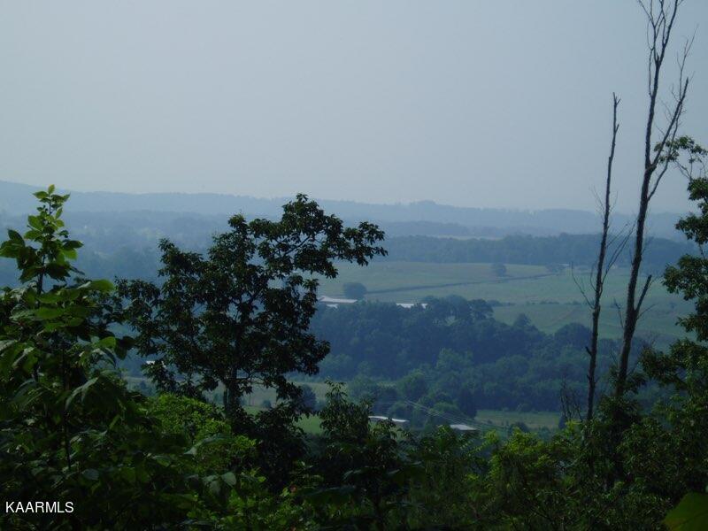 0 Acorn Gap Road Sweetwater, TN 37874 - Photo 2 of 21 IMG_20220418_173657