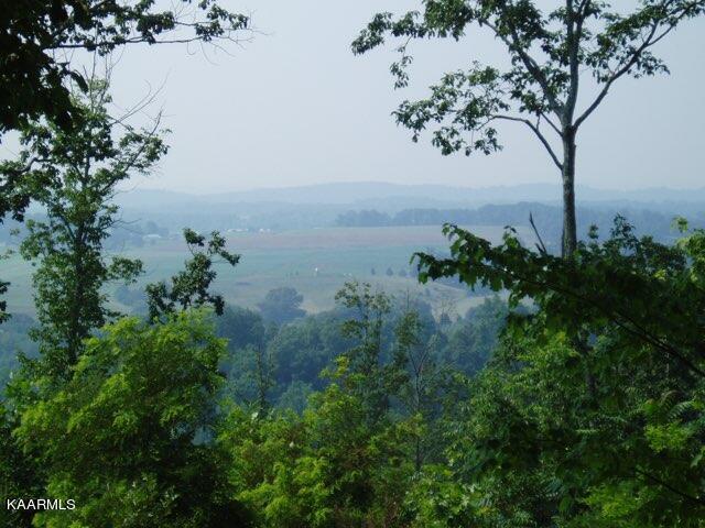 0 Acorn Gap Road Sweetwater, TN 37874 - Photo 3 of 21 IMG_20220418_173705