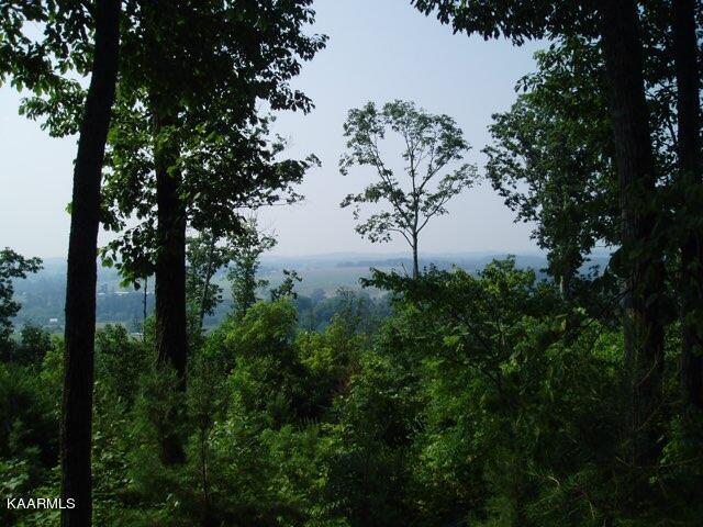 0 Acorn Gap Road Sweetwater, TN 37874 - Photo 4 of 21 IMG_20220418_173708