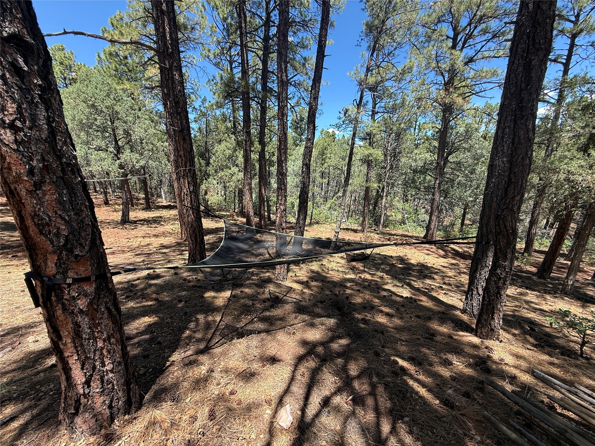 7 Log House Road Glorieta, NM 87535 - Photo 38 of 74 Gallery Image 38