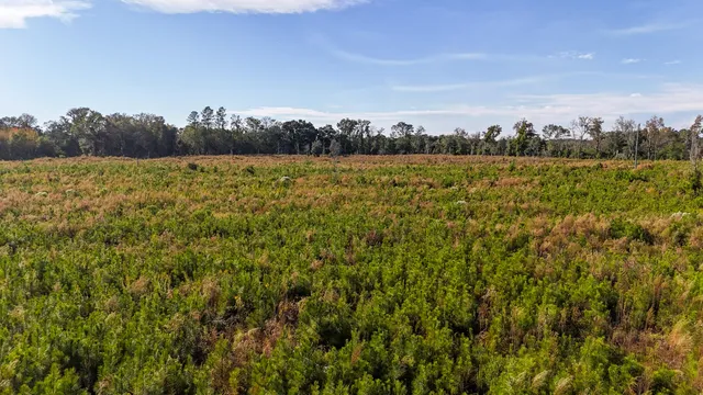 $60,000 | 0 Spanish Drive, Unit C, Bowman, SC 29018