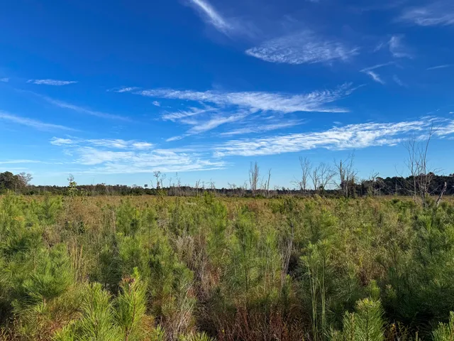 $60,000 | 0 Spanish Drive, Unit C, Bowman, SC 29018