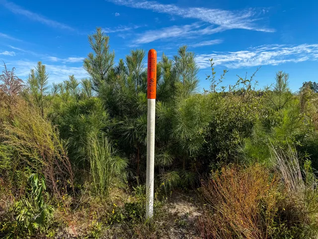 $60,000 | 0 Spanish Drive, Unit C, Bowman, SC 29018