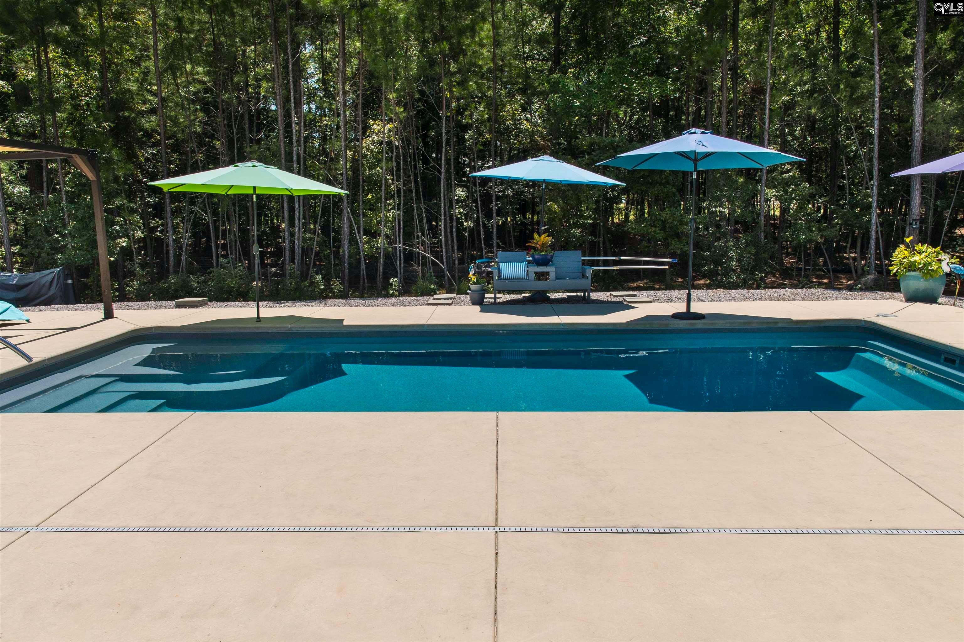 207 Jake Meetze Road Chapin, SC 29036 - Photo 46 of 52 Gallery Image 46