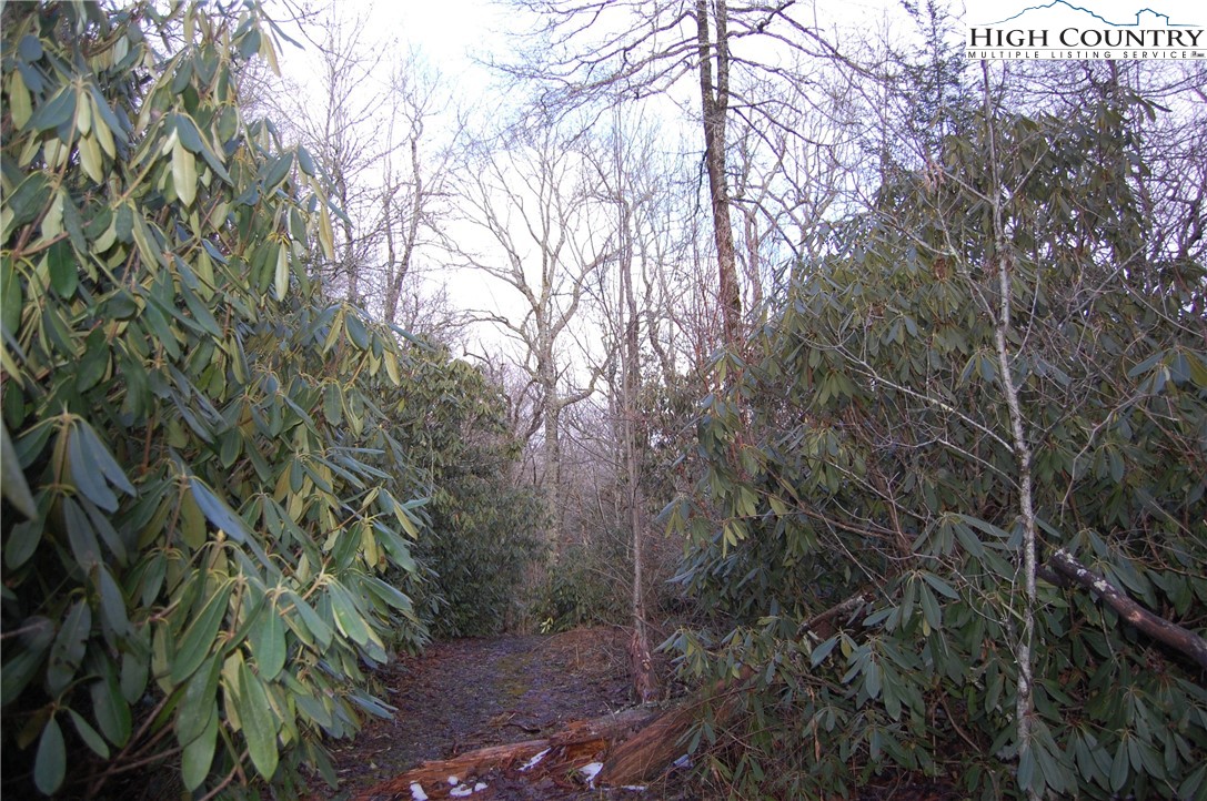 Tract Andy Crowe Road Newland, NC 28657 - Photo 3 of 12 Gallery Image 3