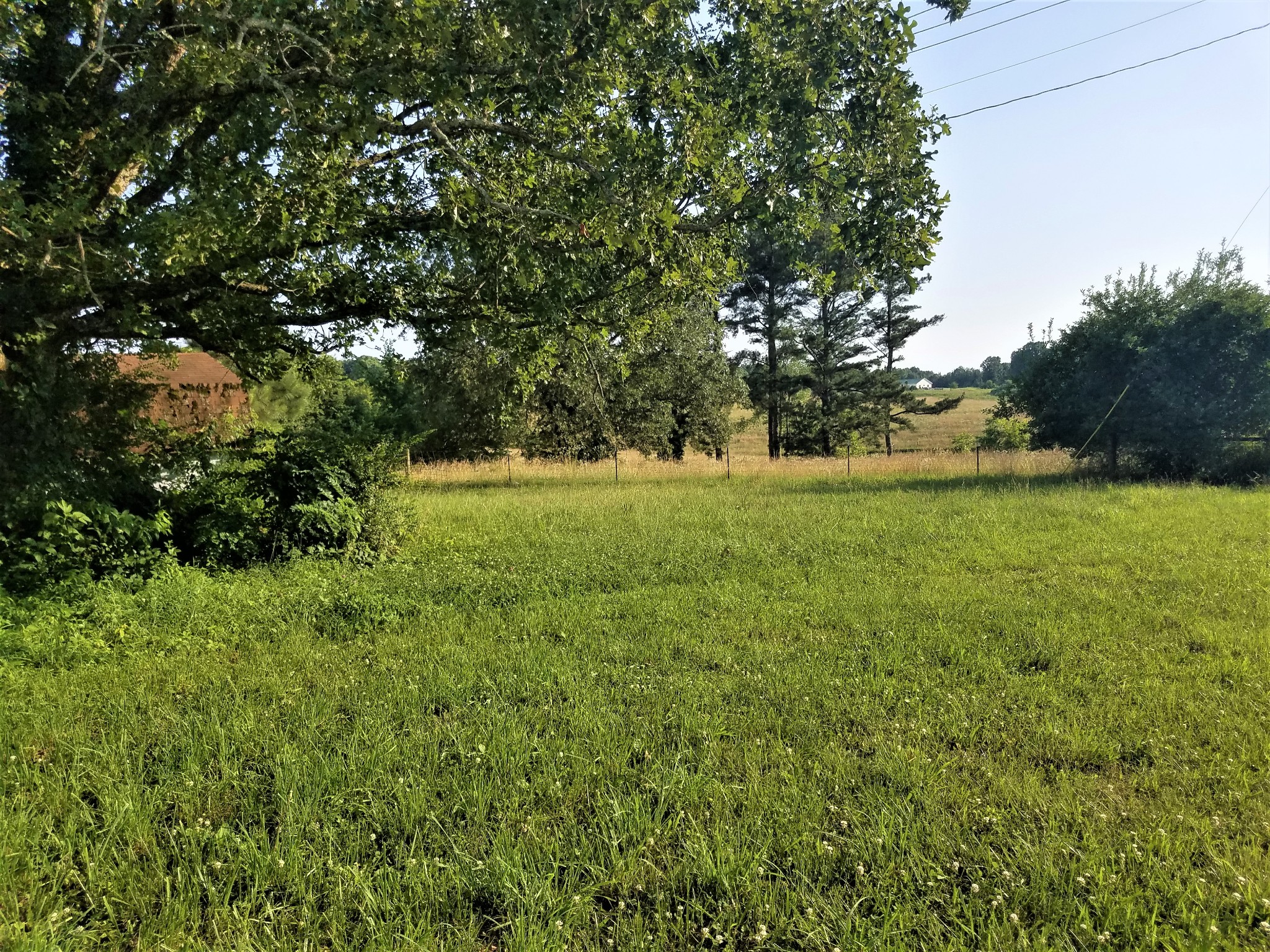 7235 Deer Ridge Road Fairview, TN 37062 - Photo 4 of 11