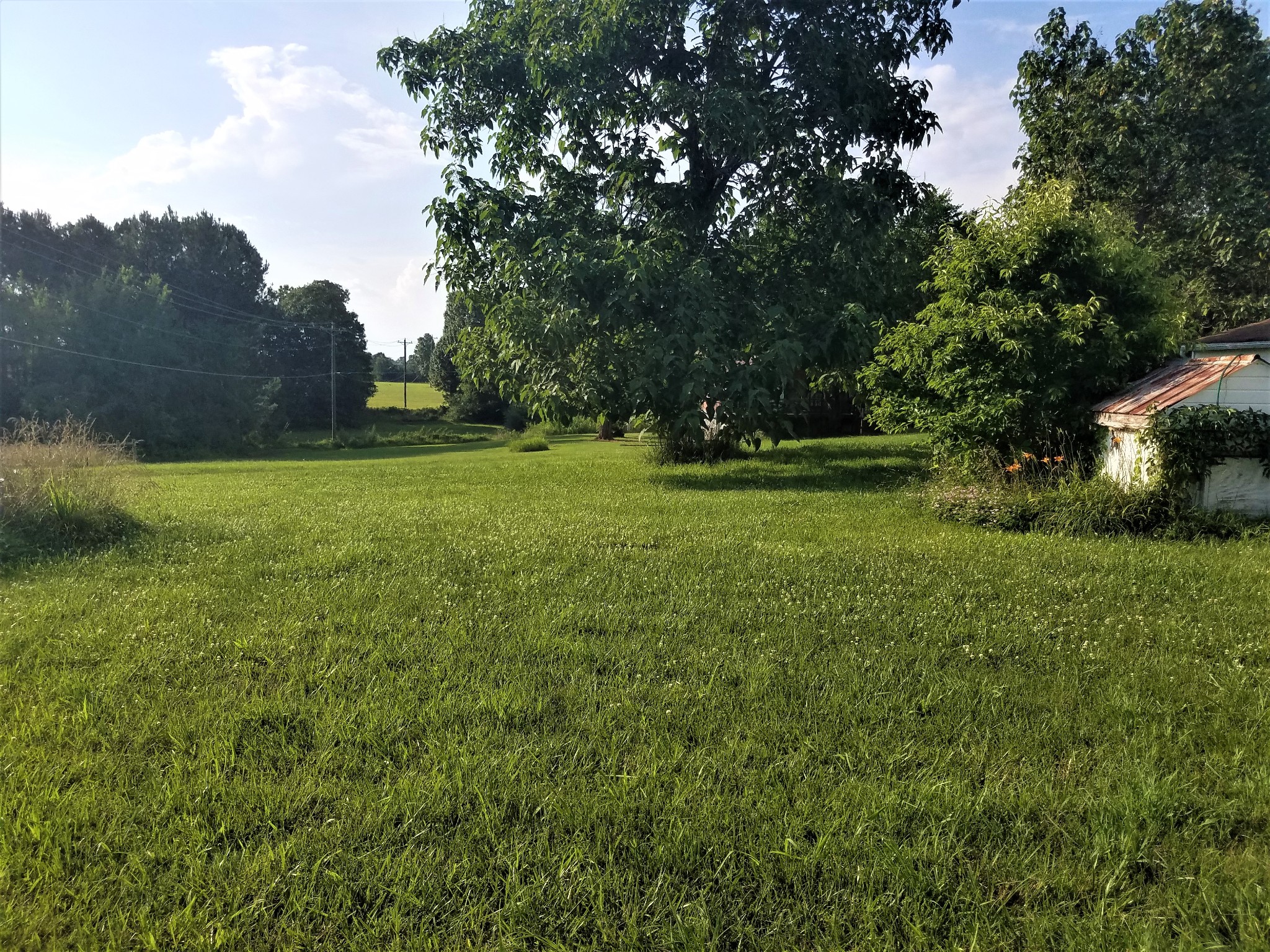 7235 Deer Ridge Road Fairview, TN 37062 - Photo 5 of 11