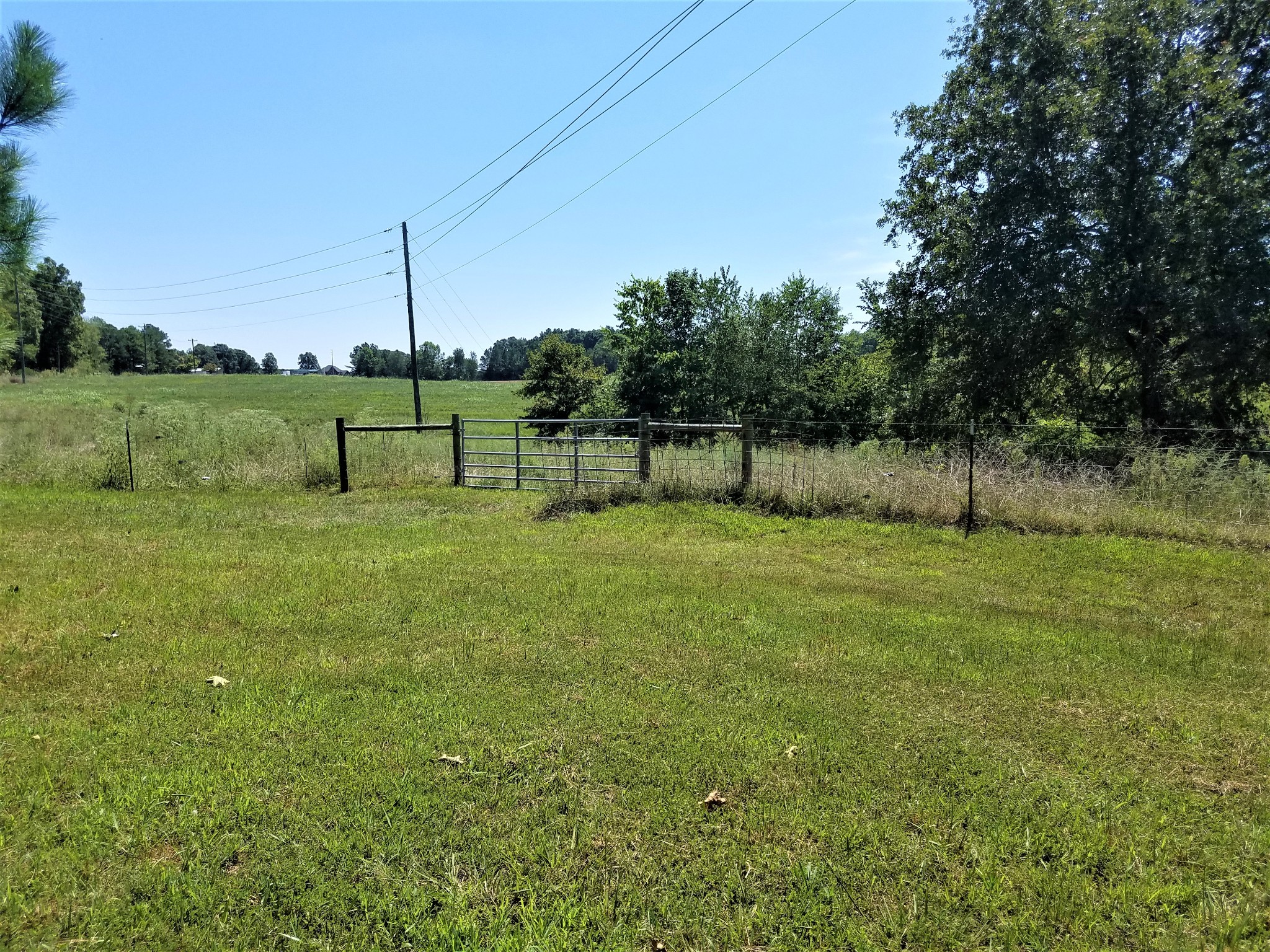 7235 Deer Ridge Road Fairview, TN 37062 - Photo 6 of 11