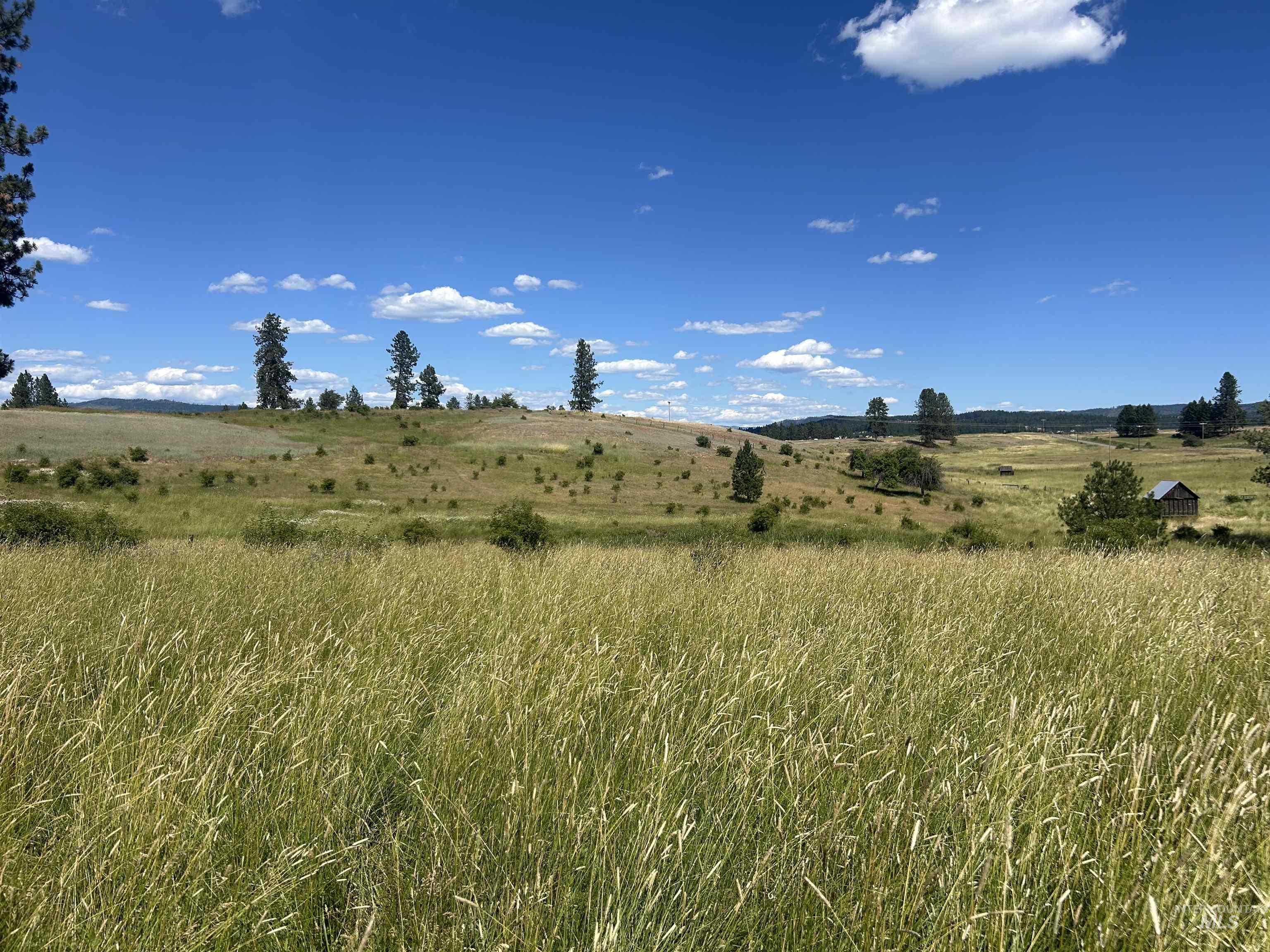 Tbd Lot 1 Tbd Road Kooskia, ID 83539 - Photo 5 of 13