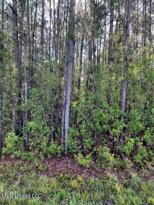 0 Sam Mitchell Road Picayune, MS 39466 - Photo 2 of 5 mitchell road c