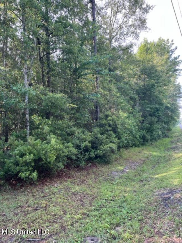 0 Sam Mitchell Road Picayune, MS 39466 - Photo 4 of 5 mitchell road f
