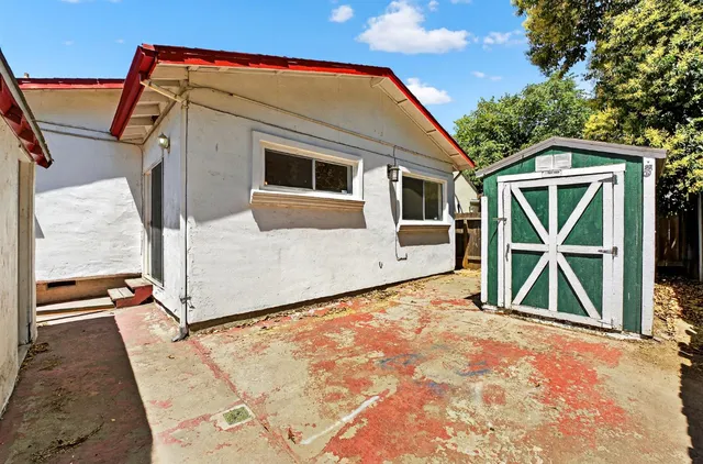 a bedroom with a bed a potted plant and a large window