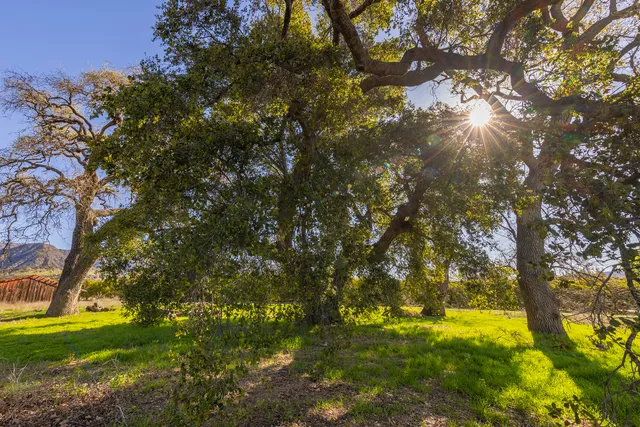 $3,750,000 | 1201 Grand, Ojai, CA 93023